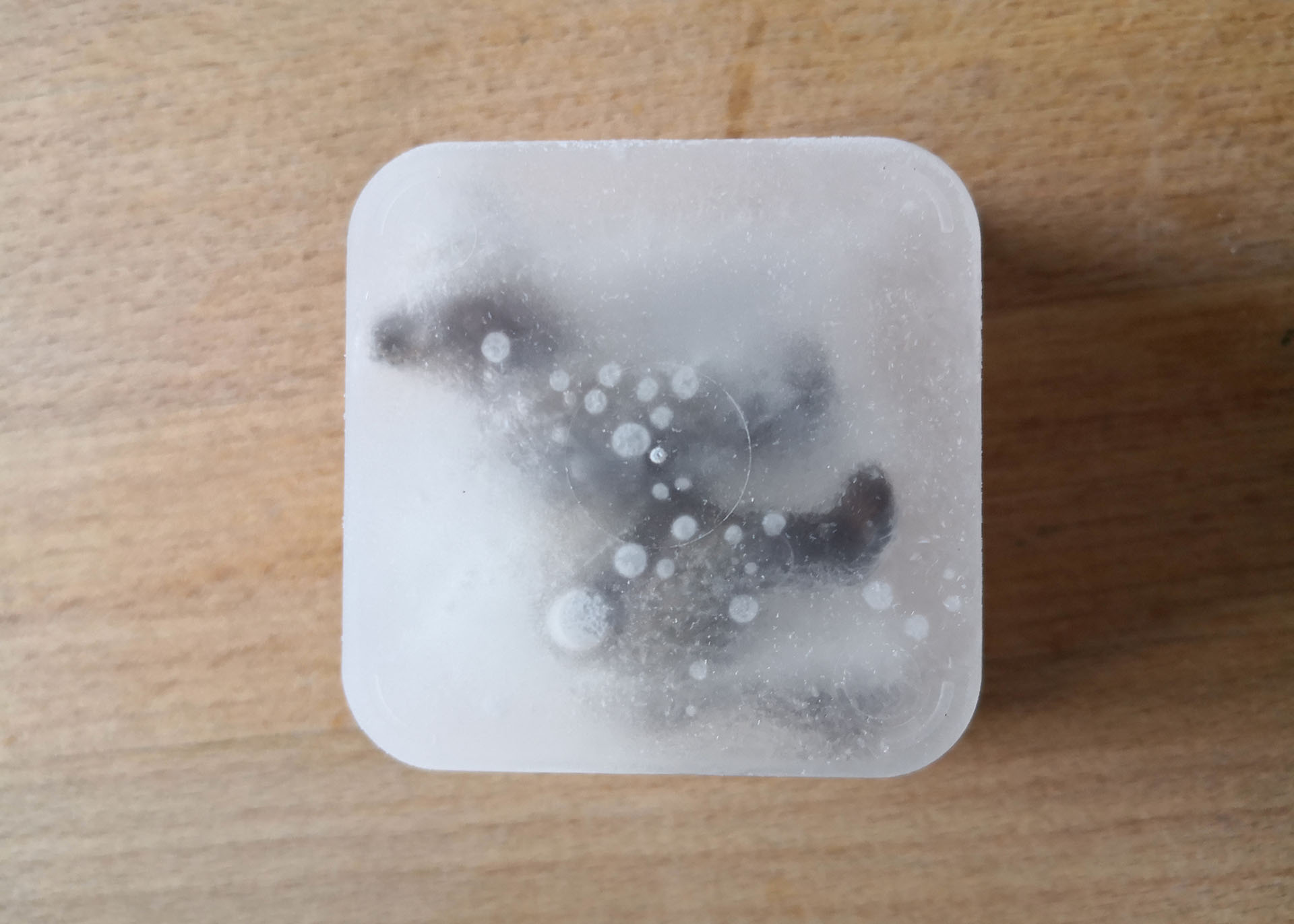 on a piece of wood there sits a frozen ice cube with some figure that looks like it could be an animal inside